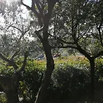 Sa Domu De Orri Al Mare