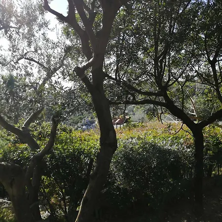 Sa Domu De Orri Al Mare