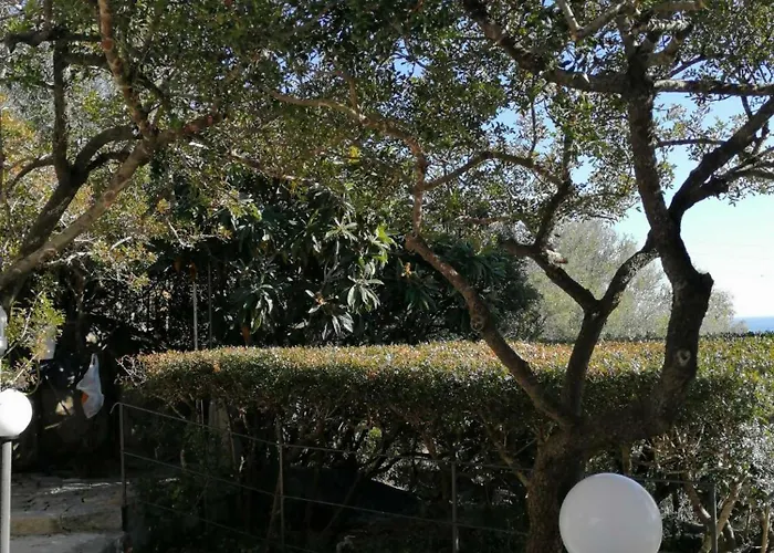 Nyaraló Sa Domu De Orri Al Mare *